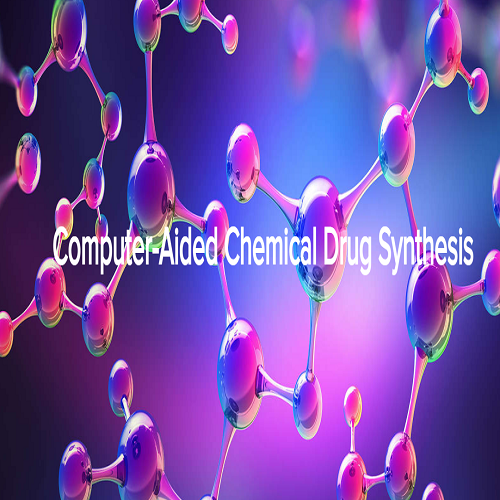 Computer-Aided Chemical Drug Synthesis