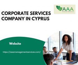 Corporate Services Company in Cyprus