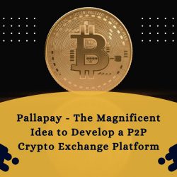 Pallapay – The Magnificent Idea to Develop a P2P Crypto Exchange Platform
