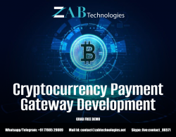 Cost to Develop Crypto Payment Gateway Platform