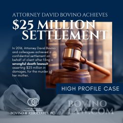 David Bovino – Aspen Attorney Willing to Fight the Big Guys