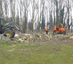 Commercial Site Clearance