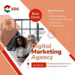 Affordable Digital Marketing Agency in Delhi | Elysian Digital Services