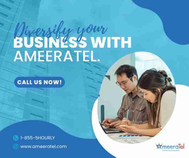 Diversify Your Business With AmeeraTel