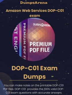 DOP-C01 Dumps Awards: Reasons Why They Don’t Work & What You Can Do About It