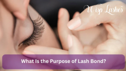 What Is the Purpose of Lash Bond? – Wisp Lashes