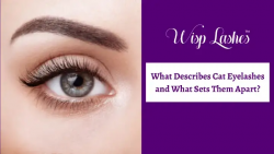 What Describes Cat Eyelashes and What Sets Them Apart? – Wisp Lashes
