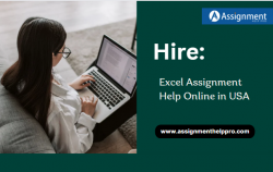 Hire Excel Assignment Help Experts in USA