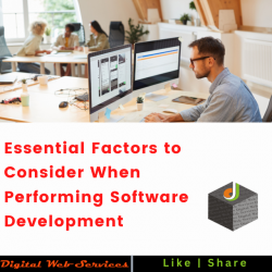 Factors to Consider When Performing Software Development