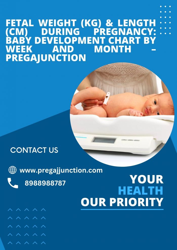Fetal Weight (kg) & Length (cm) During Pregnancy: Baby Development Chart by Week and Month – ...