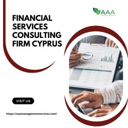Financial Services Consulting Firm Cyprus