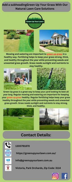 Green Up Your Grass With Our Natural Lawn Care Solutions