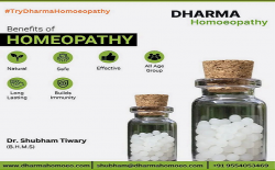 Revolutionizing Healthcare: Benefits of Consulting with a Homeopathic Doctor