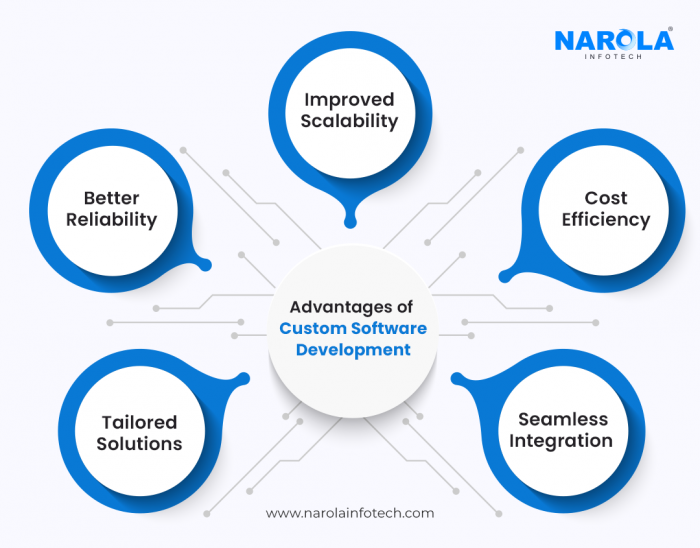 What is Custom Software Development And Its Importance for Growing Businesses