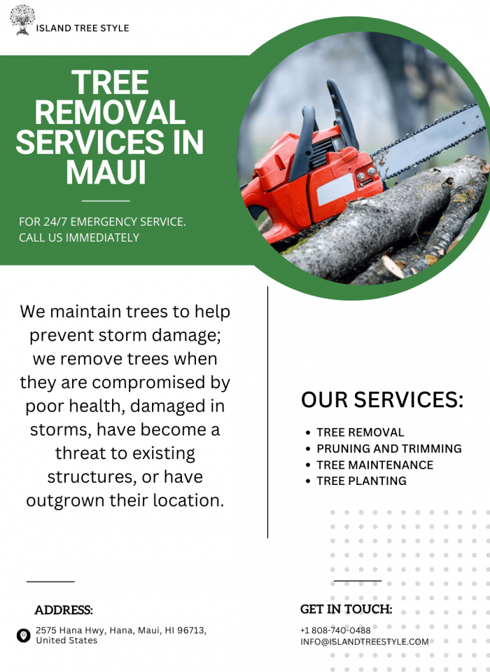 Tree Removal Services in Maui | Island Tree Style