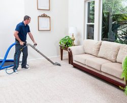 Why Do You Need A Professional Rug Cleaning Service?
