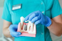 Find The Best Dentist in Houston Heights, TX | Houston, Texas Dentists