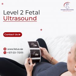 Level 2 Fetal Ultrasound