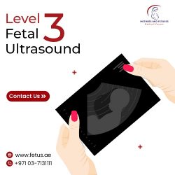 Level 3 Fetal Ultrasound