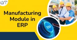 Manufacturing Module in ERP