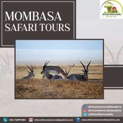 Mombasa Safari Tours