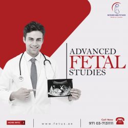 Advanced Fetal Studies
