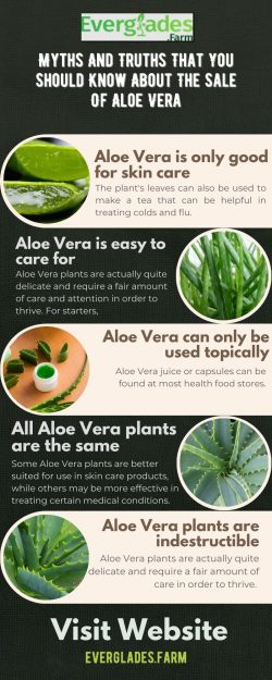 Myths And Truths That You Should Know About The Sale Of Aloe Vera