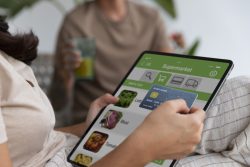 What are the challenges of online grocery delivery software?
