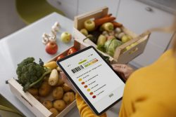 How does online grocery delivery software work?