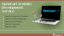 OpenCart Website Development Service