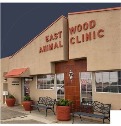 Choose the best Veterinarian in El Paso TX