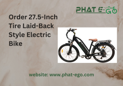 Order 27.5-Inch Tire Laid-Back Style Electric Bike – Spirit