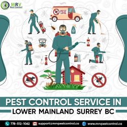 Pest Control Service in Lower Mainland Surrey BC