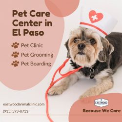 Pet Care Center in El Paso
