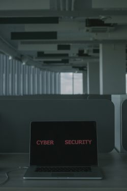 What is the importance of cyber security background?