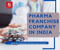Choose the Best Pharma Franchise Company in India