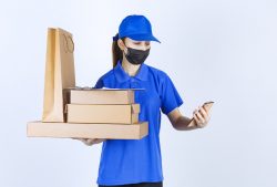 What is the purpose of Pizza Delivery Software?