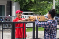 How do users interact with pizza delivery software?