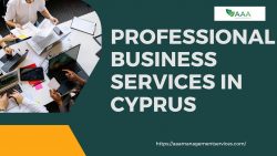 Professional Business Services in Cyprus
