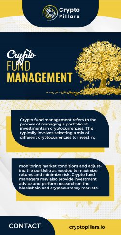 Professional crypto fund Management for Investors From Crypto Pillars