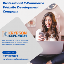 Professional E-Commerce Website Development Company