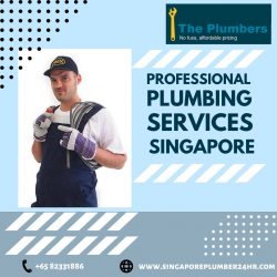 Professional Plumbing Services in Singapore