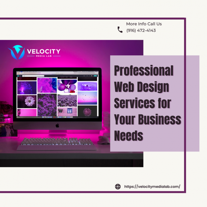 Professional Web Design Services for Your Business Needs