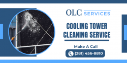 Professional Cooling Tower Cleaning Service
