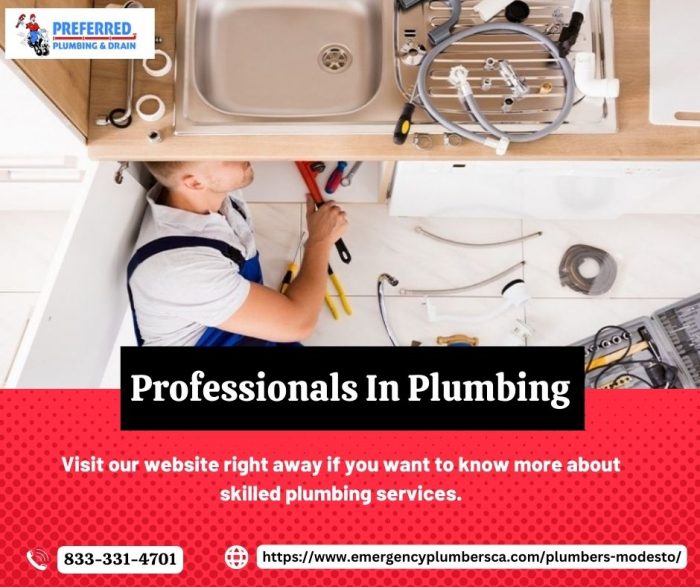 Professionals In Plumbing