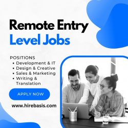 Remote Entry-Level Jobs – HireBasis