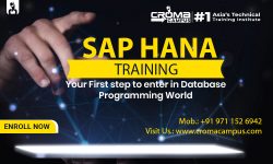 Learn SAP HANA Training in Gurgaon