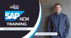 Best SAP HCM Training Course – Croma Campus