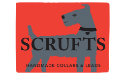 3 Good Reasons to Buy a Matching Dog Collar and Lead