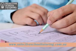 Selective School Exam Preparation for 2023